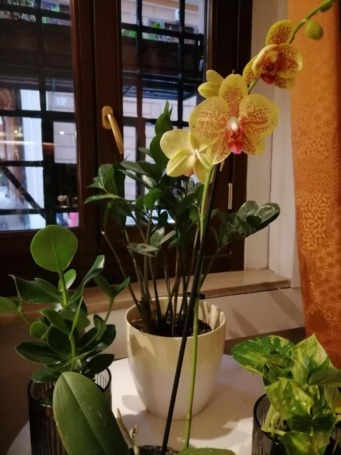 茱莉亚酒店 罗马 外观 照片